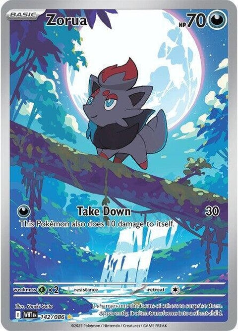 142-zorua
