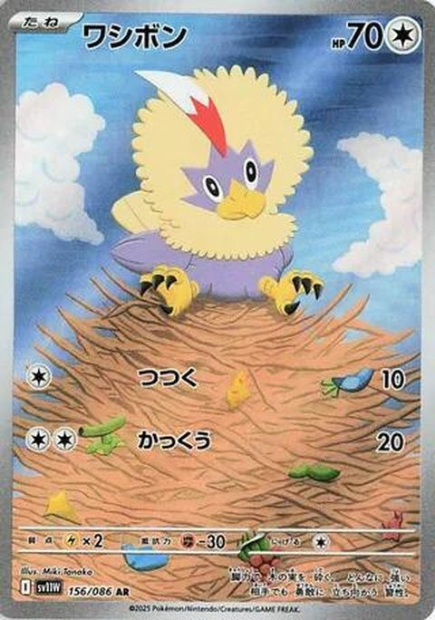 156-rufflet