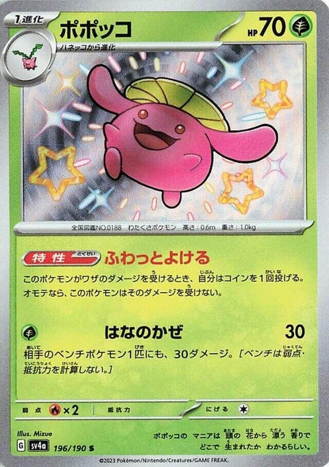 196-skiploom
