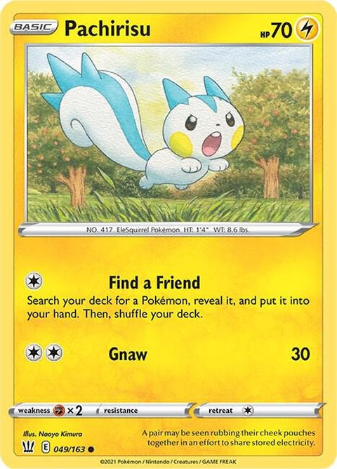 49-pachirisu