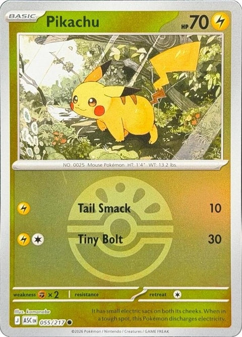55-pikachu-friendball