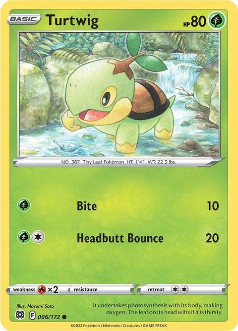 6-turtwig