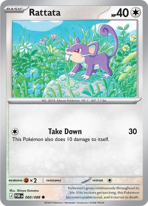 60-rattata