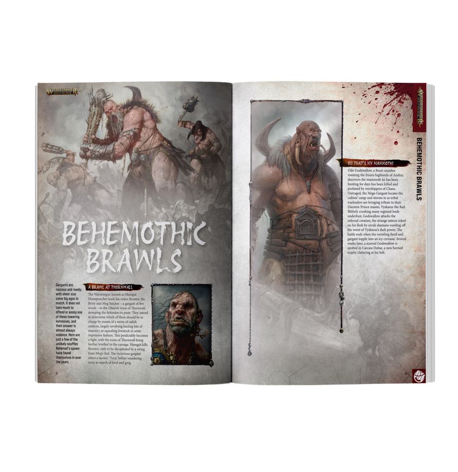 WHITE DWARF MAGAZINE ISSUE 529