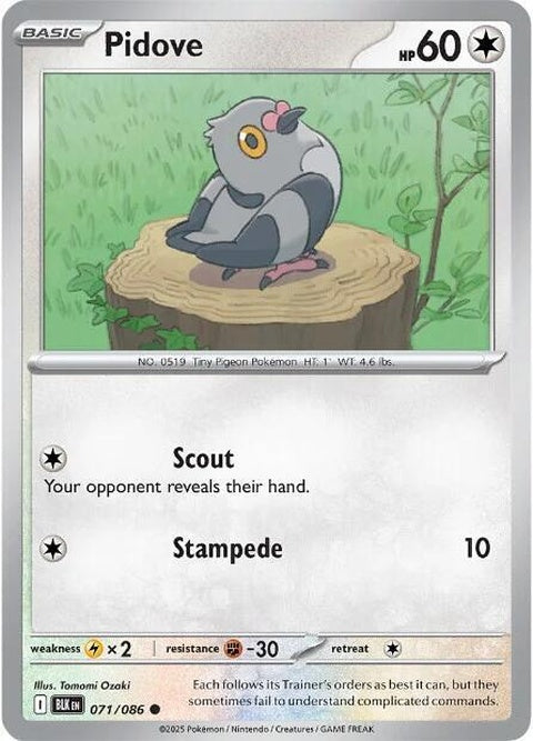 71-pidove