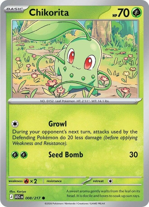 8-chikorita
