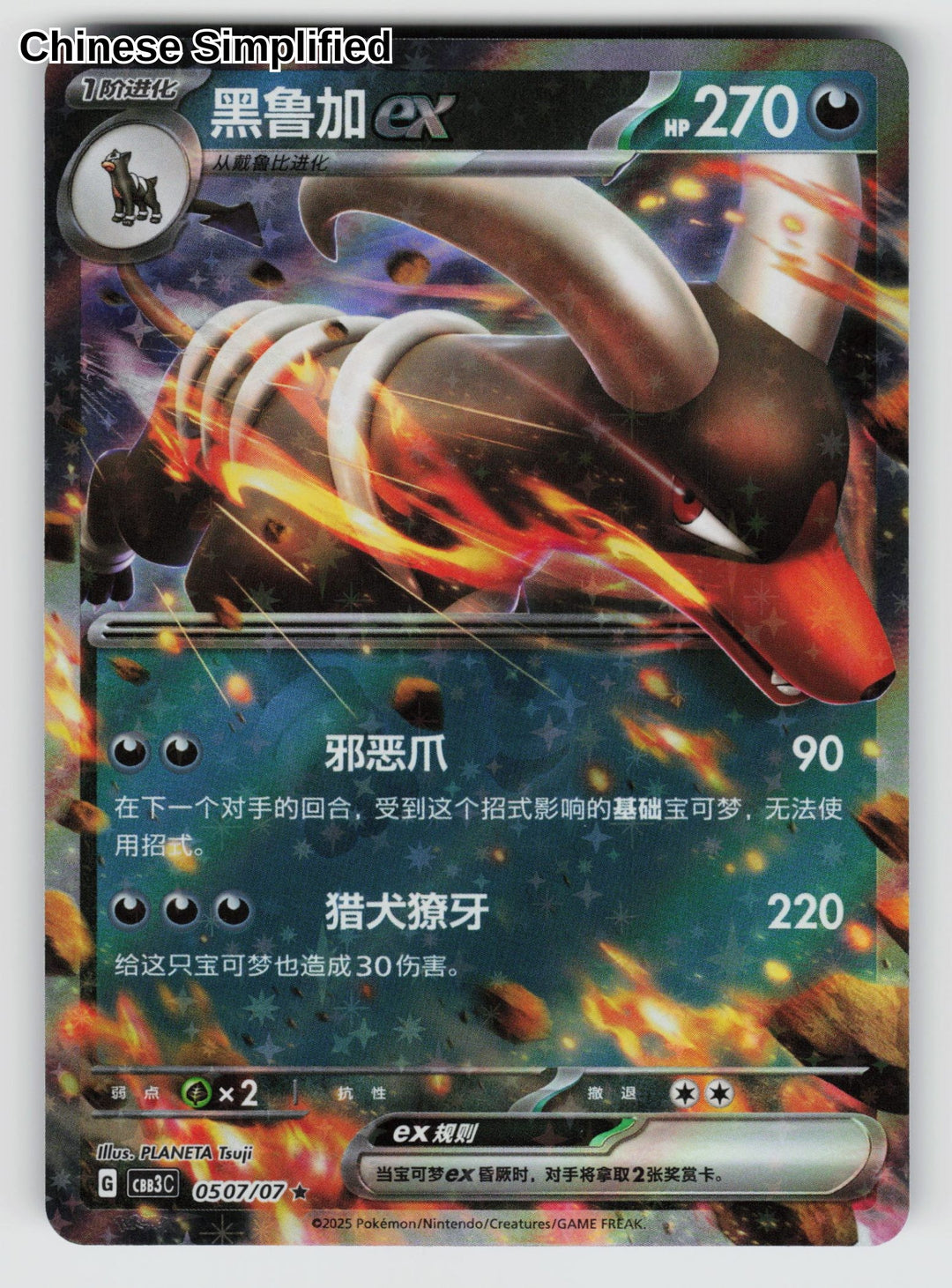 Houndoom ex - 507