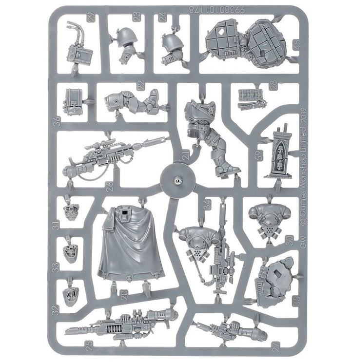 SPACE MARINES PRIMARIS ELIMINATOR SQUAD