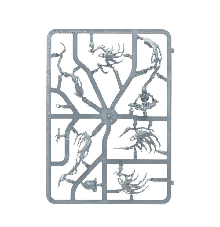 NIGHTHAUNT: SPIRIT HOSTS