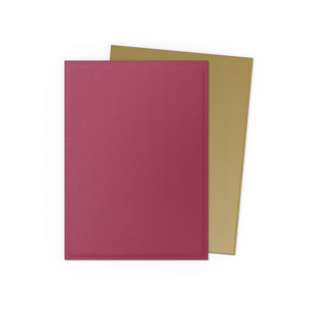 Dragon Shield Standard Dual Matte SP EDT Pomegranate & Gold Sleeves (100)