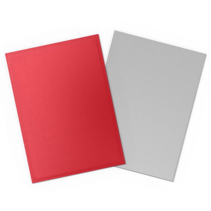 Dragon Shield Standard Dual Matte Crimson & Silver Sleeves (100)