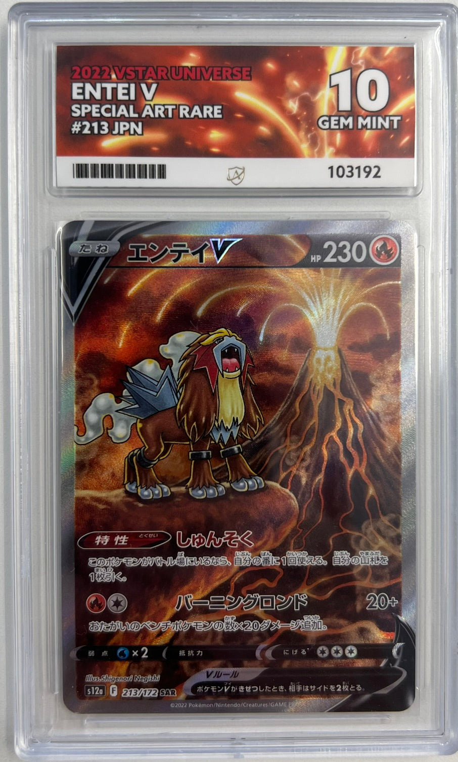 Pokemon Graded Card - Entei V 213/172 JPN - Ace Gem Mint 10 (103192)