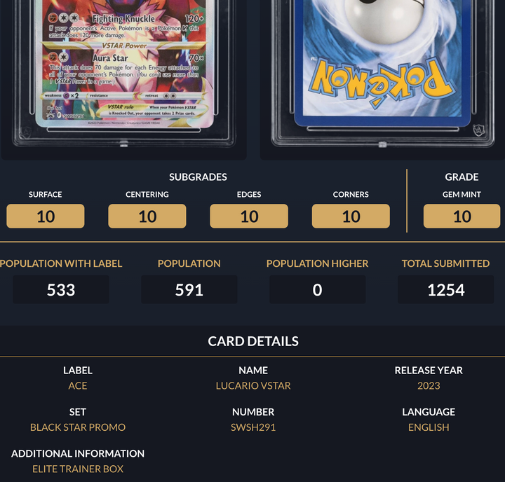 Pokemon Graded Card - Lucario VSTAR SWSH291 Promo - Ace Gem Mint 10 (495869)