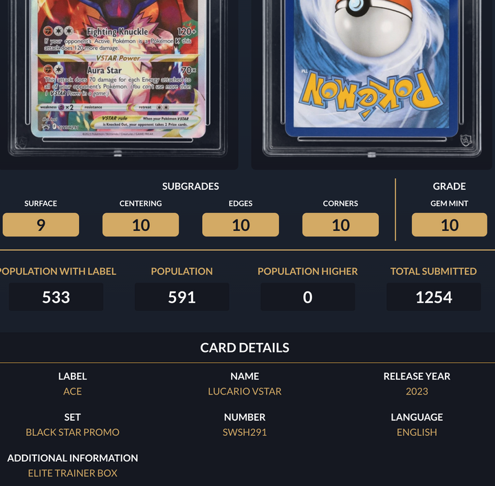 Pokemon Graded Card - Lucario VSTAR SWSH291 Promo - Ace Gem Mint 10 (495870)