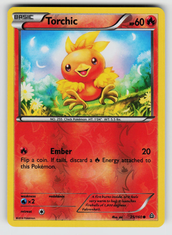 Torchic | Lightly Played / English / Reverse Holofoil