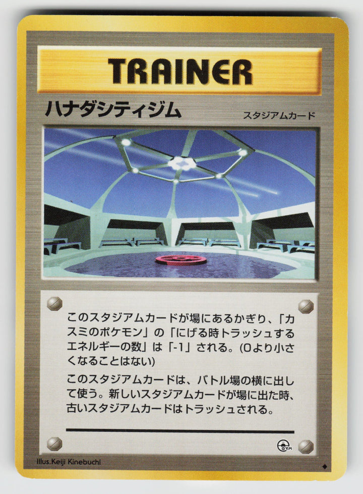 Cerulean City Gym