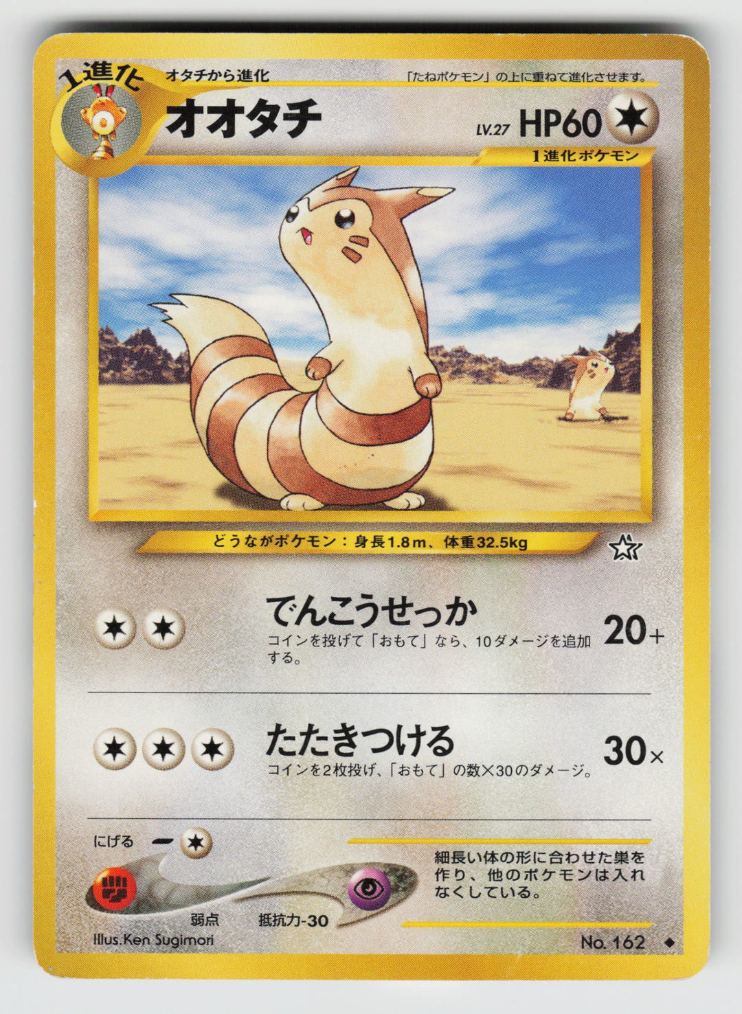 Furret