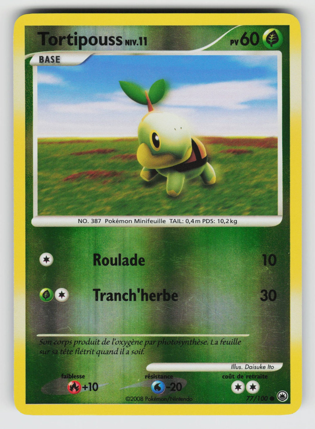 Turtwig (77)