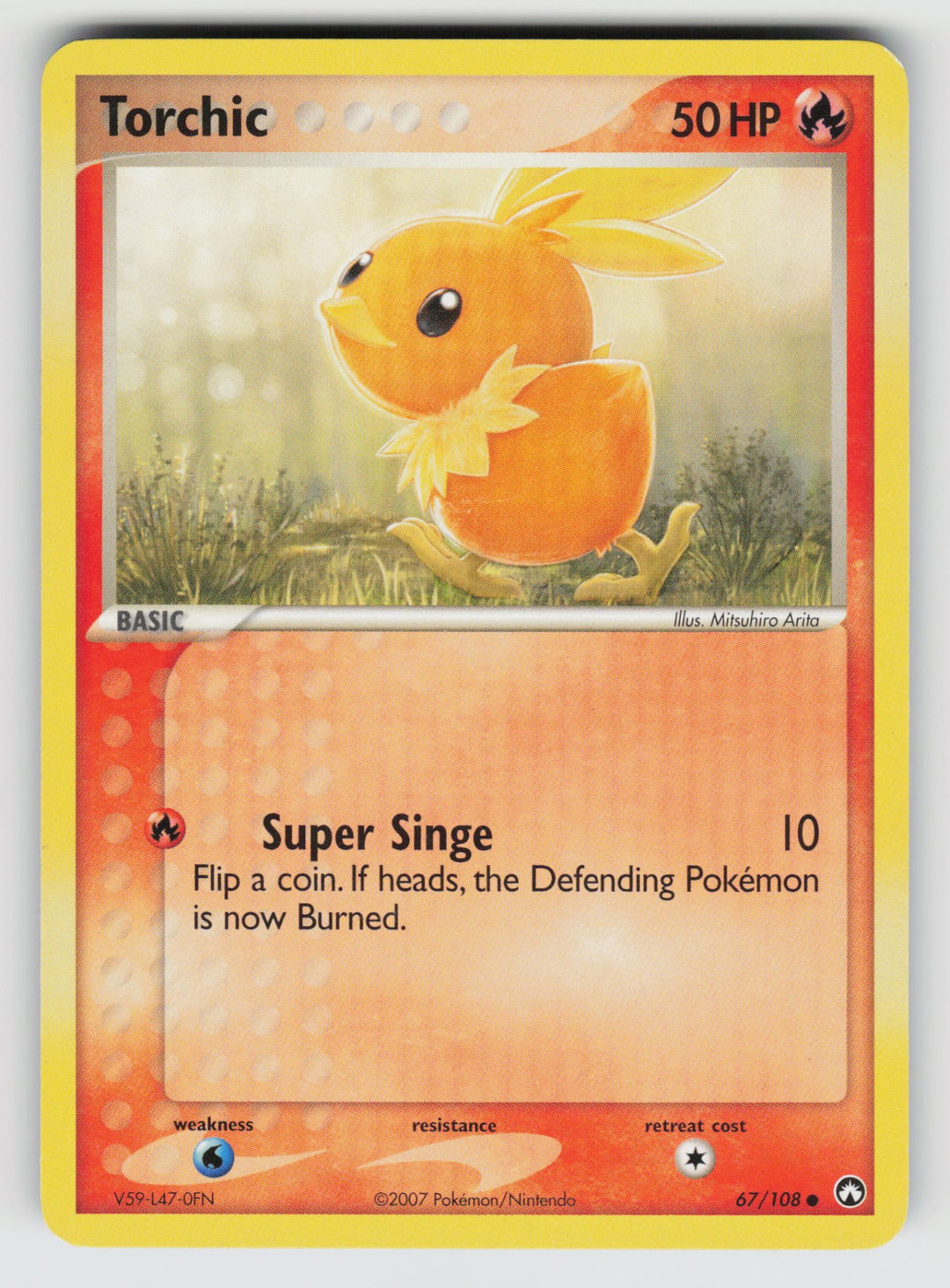 Torchic