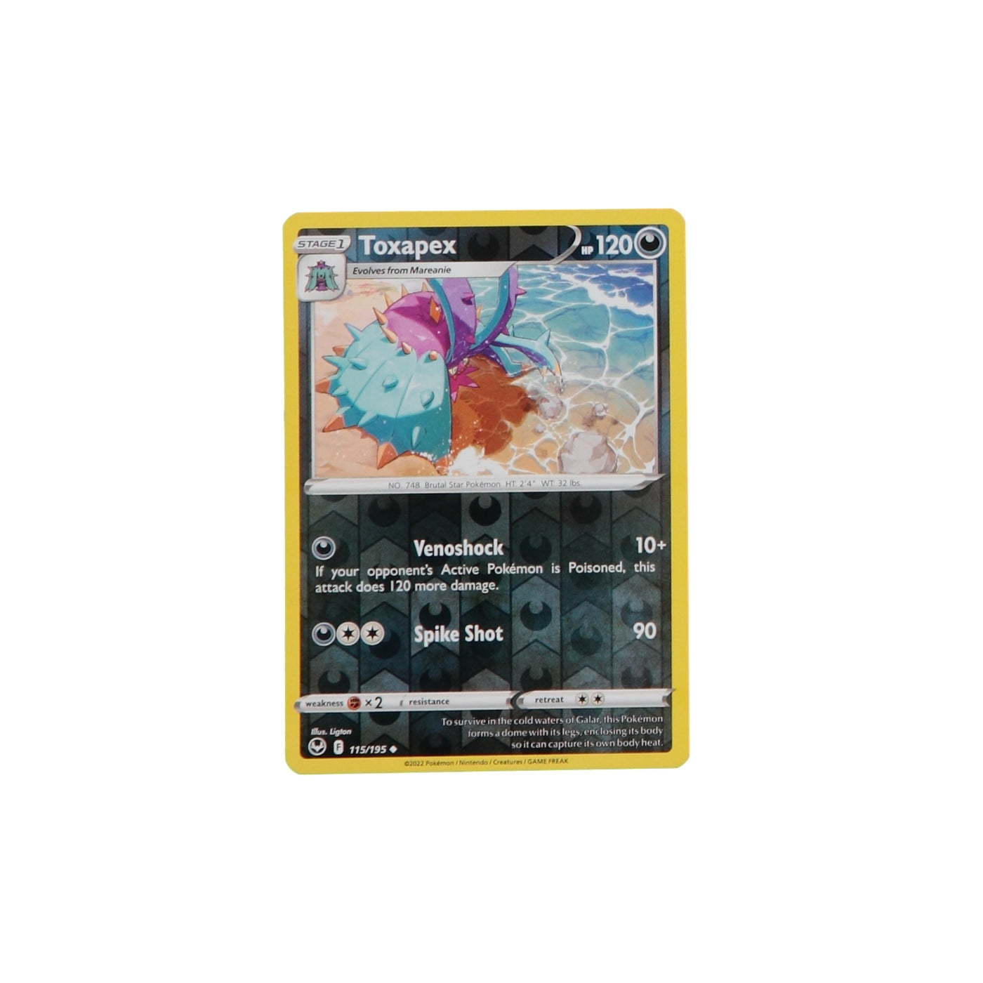 Pokemon TCG Silver Tempest 115/195 Toxapex Rev Holo Card - stylecreep.com