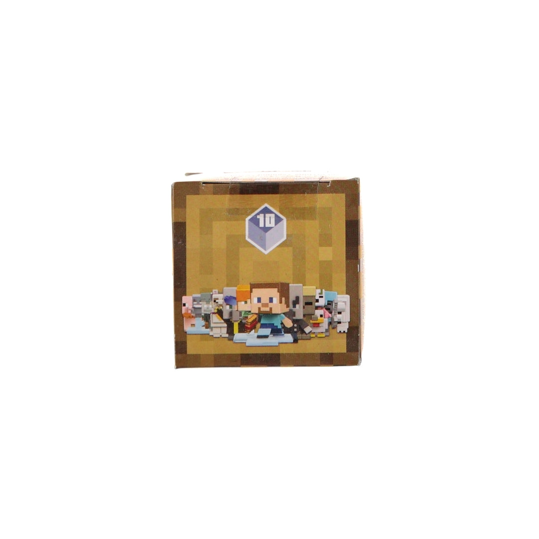 Minecraft Mystery Figure Box Series 10 Wood (1 Supplied) - stylecreep.com